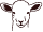 Pictogramme Agneau
