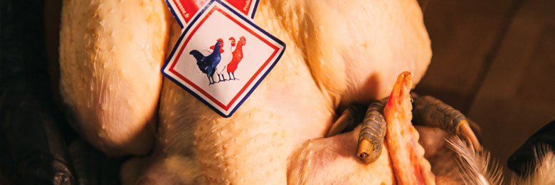 Poulet, pintade et dinde